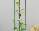Podpera rastlín 8 mm 90 cm - oceľová + PE